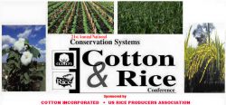 Cotton & Rice Conference