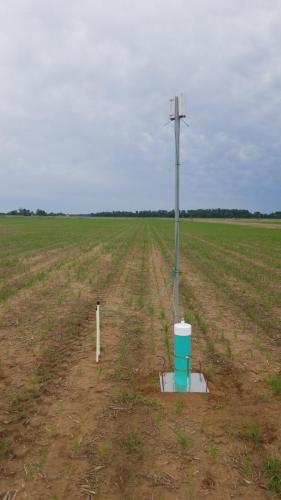 Moisture and Level Sensor Row Rice