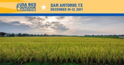 USA Rice Outlook 2017